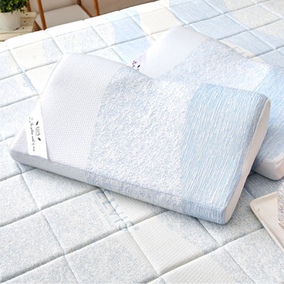 【ELVIS愛菲斯】瑞士山寧泰涼感親水記憶棉枕